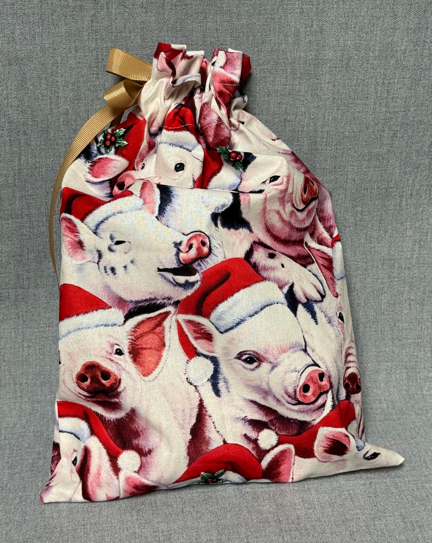 Gift bags- Drawstring Lg