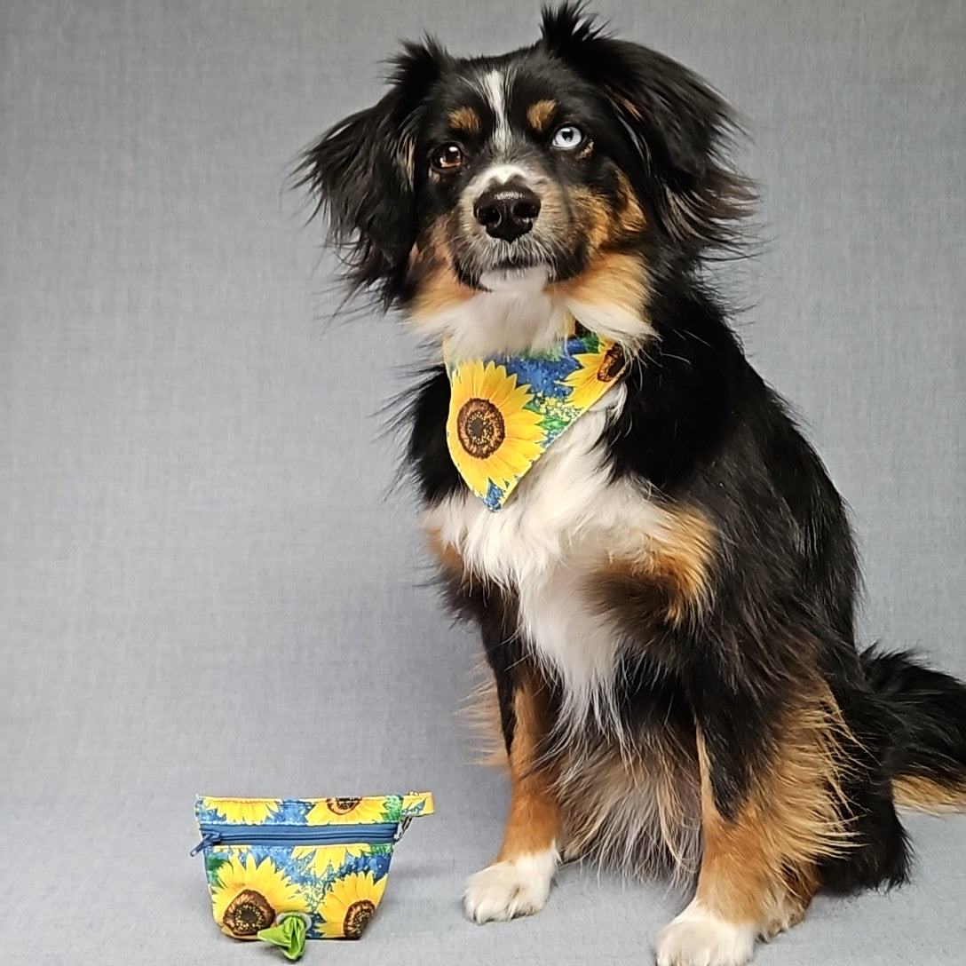 Dog Bandana & Potty bag pouch